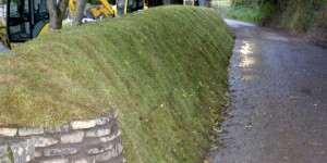 Hedgelaying and Devon banking