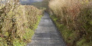 path creation groundworks