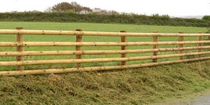 Post and Rail fencing