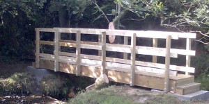Public access