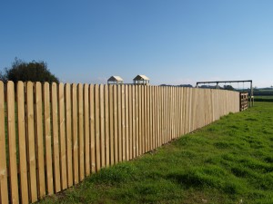 west buckland village green fencing