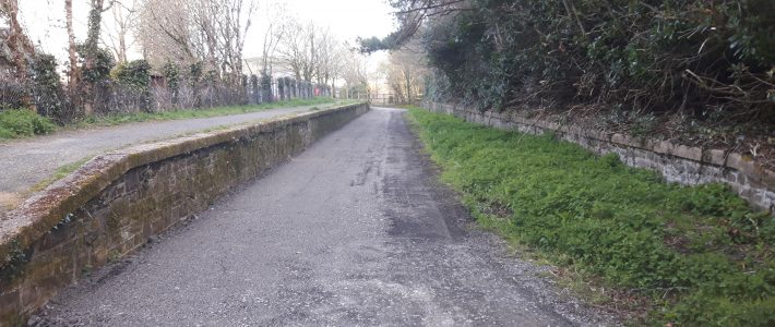 Tarka Trail Improvement